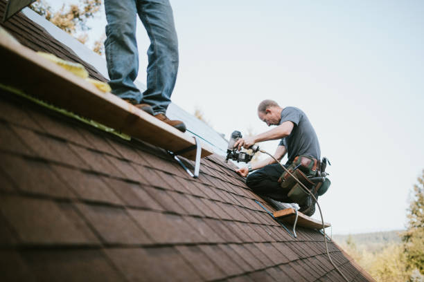 Professional Roofing Contractor in Mound City, MO